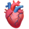 Anatomical Heart emoji on Apple